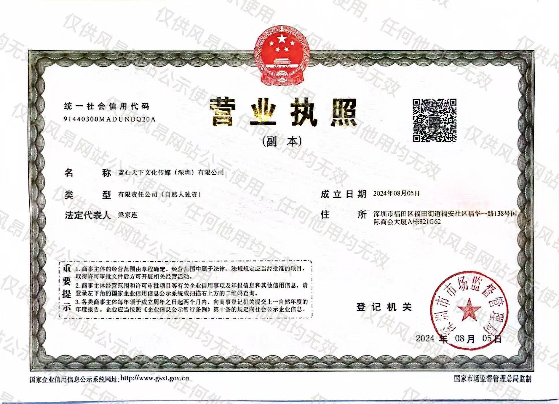 蓝心天下文化传媒(深圳)有限公司